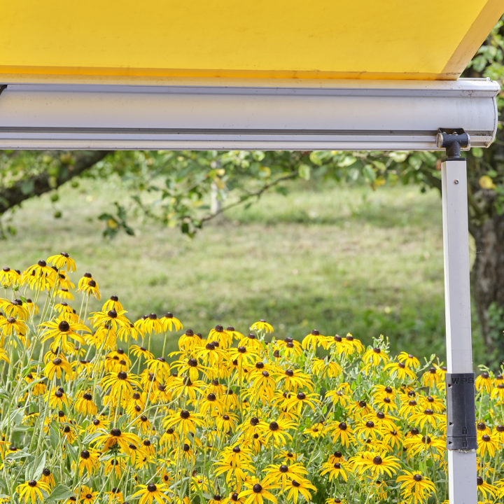 natur und technik vereint terrassenmarkise